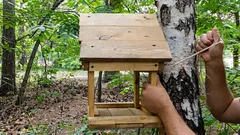 Měli byste zavěsit krmítko na strom – nebo existuje lepší místo?