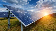 Ve Francii přineslo 20 solárních elektráren nečekaný efekt: Jak se změnila půda a rostliny?